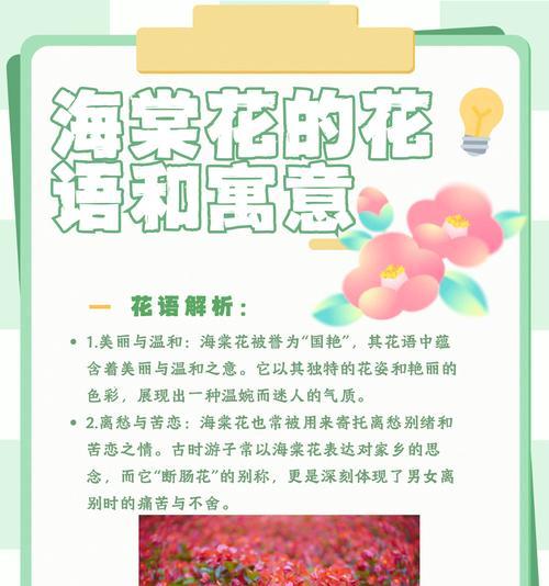 思念的花语是什么？表达思念情感的花语有哪些？