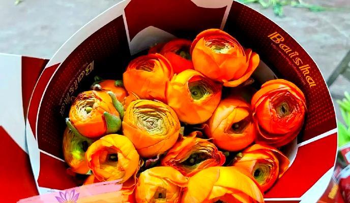 翠花见牡丹花的养护管理方法是什么？