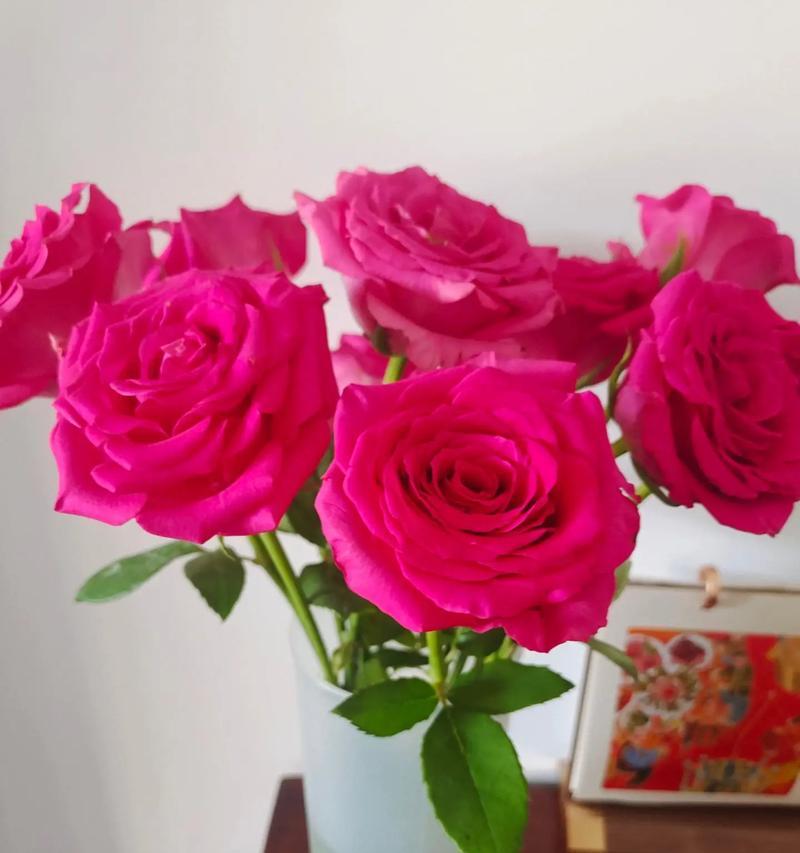 如何培育新颜色的玫瑰花？有哪些方法？
