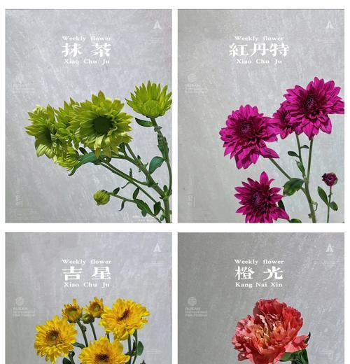 花语通常表达什么？如何选择合适的花语？