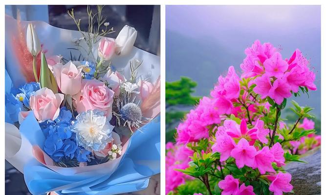 当代年轻人偏爱哪种花语？花语中蕴含了哪些现代情感？