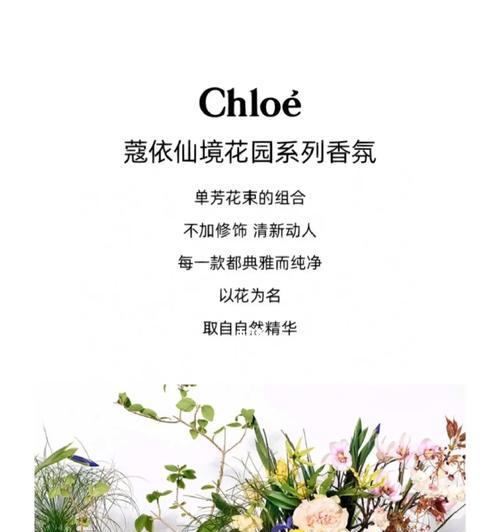 不同礼物的花语分别是什么？