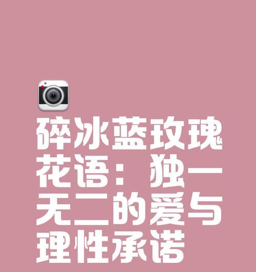 不同礼物的花语分别是什么？