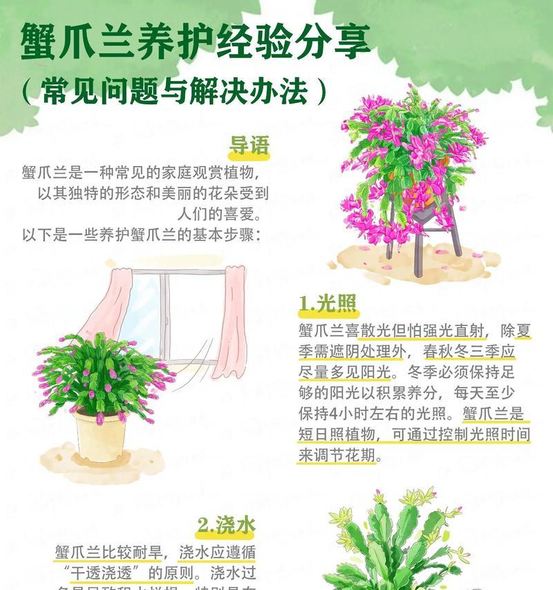 仙人掌蟹兰花开花的条件和养护方法是什么？