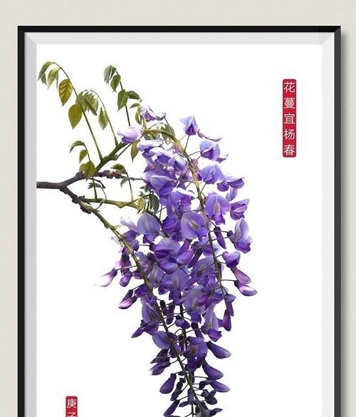 道具醉人的花语有何深意？它在不同场合下代表什么？
