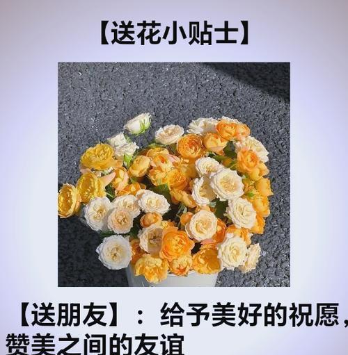 xxx的花语是什么？惹人怜爱的小玫瑰花语又是什么？