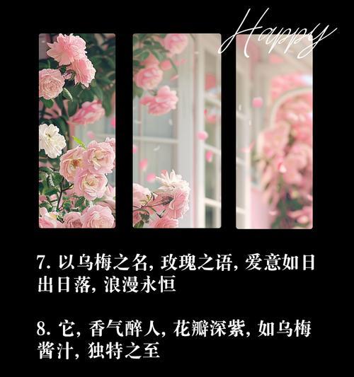 乌梅子酱和玫瑰花搭配代表什么？这种搭配有何特殊含义？