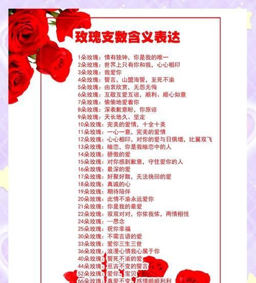 小玫瑰的花语和寓意有何不同？小玫瑰代表什么？