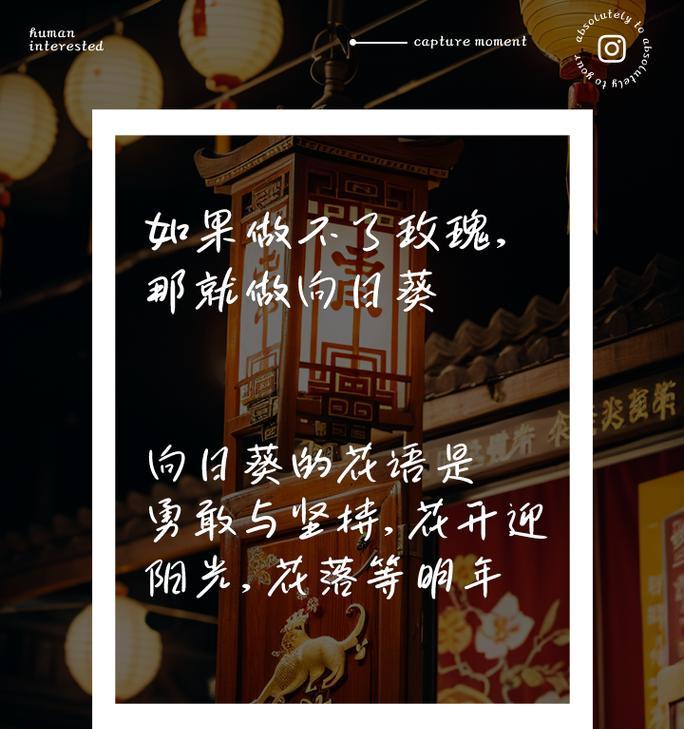 花语的真正含义是什么？它如何传达情感？