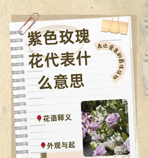 哪种花代表了好男人的品质？