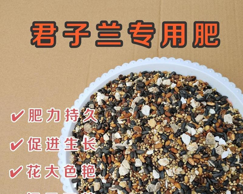 君子兰叶片发亮需要什么肥料？施肥技巧有哪些？