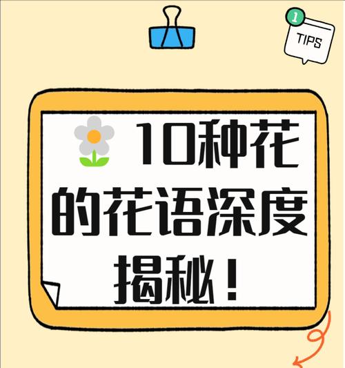各种花的花语是什么？不同花语代表了什么？