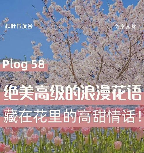 哪种花的花语象征着忘记过去？