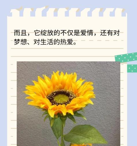 紫莹莹的花语代表什么含义？