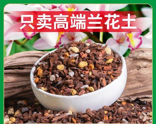 君子兰土壤配制的正确比例是什么？