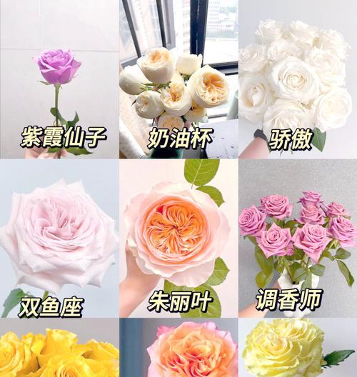 有哪些花的名字带有浪漫的花语？