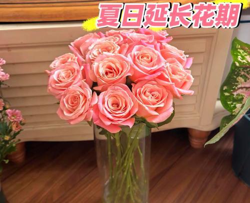 剪下来的玫瑰花如何保持新鲜？