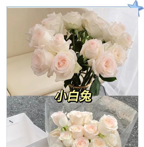 剪下来的玫瑰花如何保持新鲜？