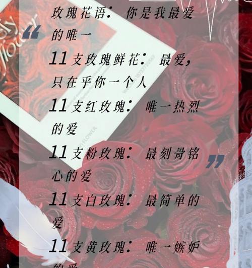 数字13在花语中代表什么？有何特别含义？