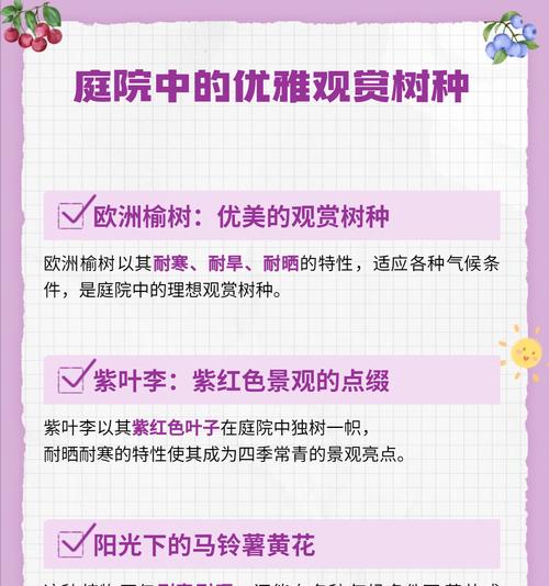 仙人球黑肋骨的种植步骤和注意事项是什么？