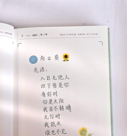 洋甘菊的花语有哪些含义？