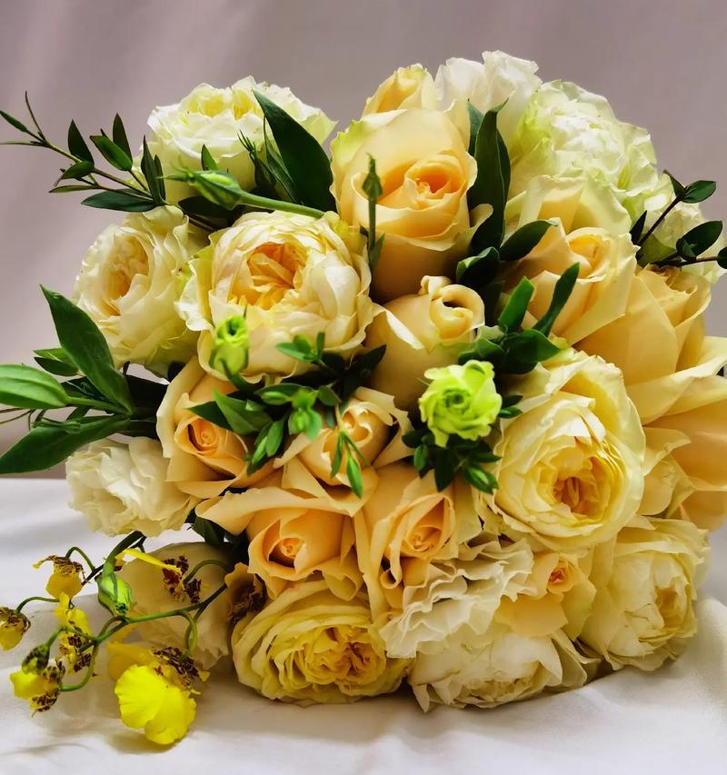 煤气花花语是什么梗？这种花语背后有什么特别的含义吗？