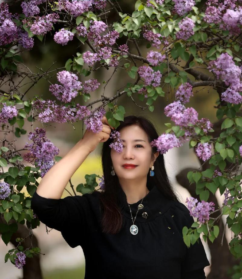 丁香花的花语是什么？丁香花语有何特别之处？