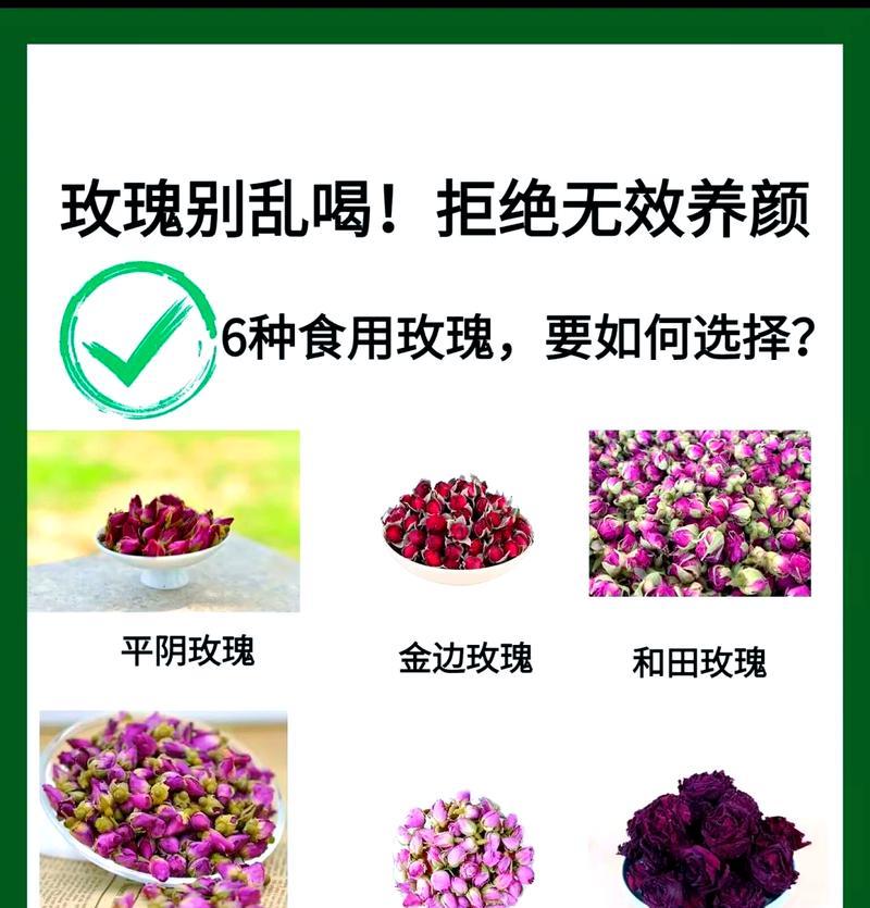 如何鉴别优质玫瑰花品种？好玫瑰花品种的标准是什么？