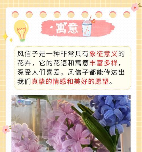 道具花语的意义是什么？如何正确理解花语？