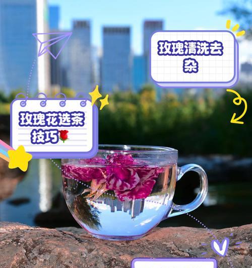 滇红玫瑰花多久浇一次水？