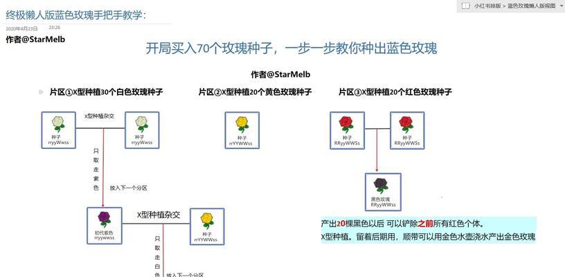 正宗玫瑰花种子的种植步骤是什么？