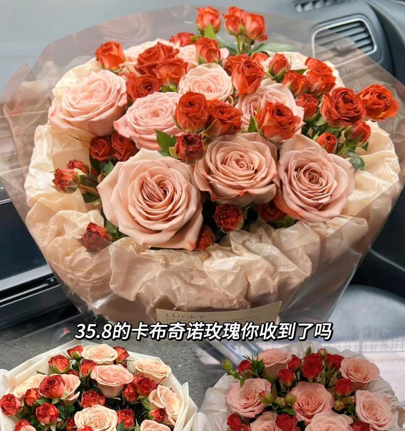 卡布花语的寓意有哪些？