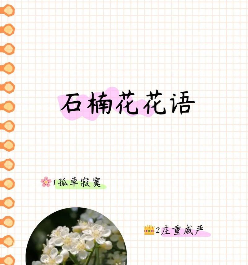 哪种花的花语最具有个性？