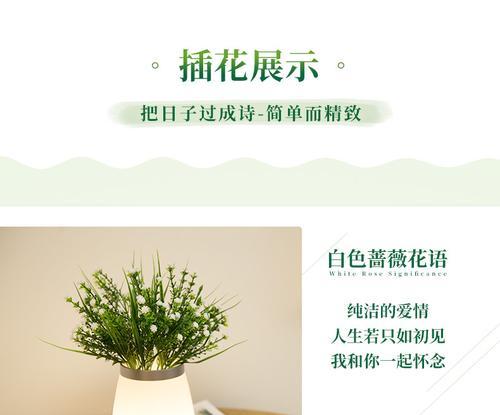 玫瑰花瓶的寓意和花语有何不同？