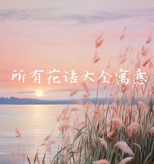 哪种花象征着男生？花语中透露了怎样的情感？