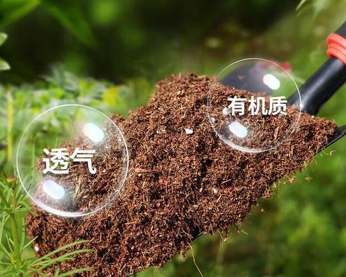 怎么去除君子兰老叶子呢？有哪些安全有效的方法？
