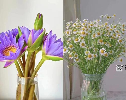 29朵玫瑰花的插花技巧是什么？如何保持插花的持久美丽？