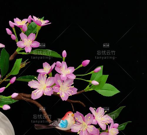 淘花缘仙人球好养吗怎么养？淘花缘仙人球的养护方法是什么？