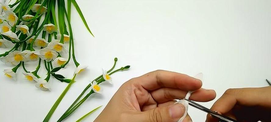 淘花缘仙人球好养吗怎么养？淘花缘仙人球的养护方法是什么？
