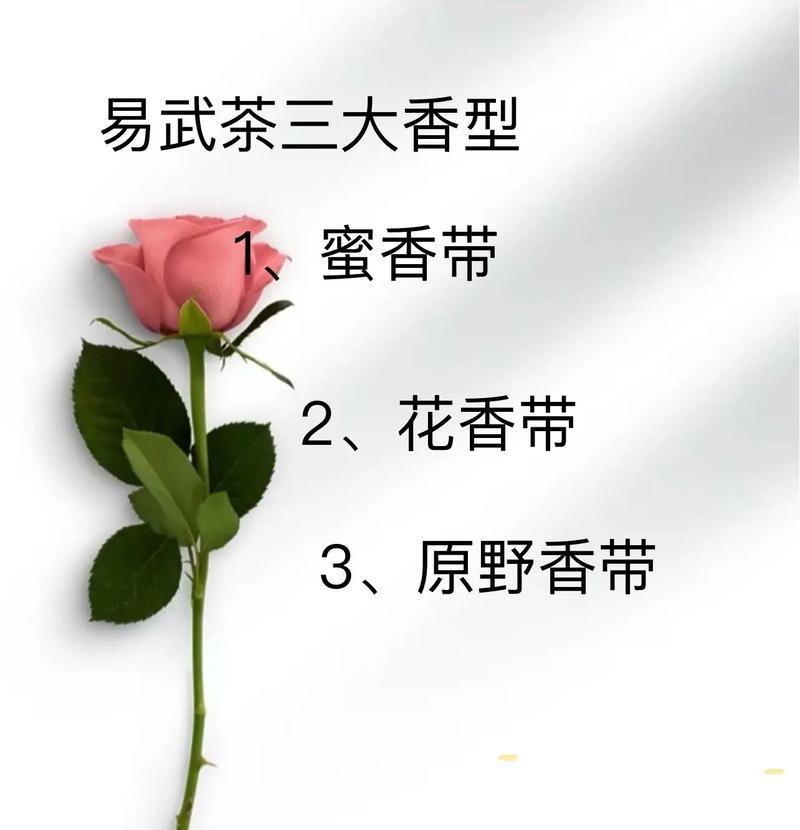 调香师玫瑰的花语寓意有何不同？