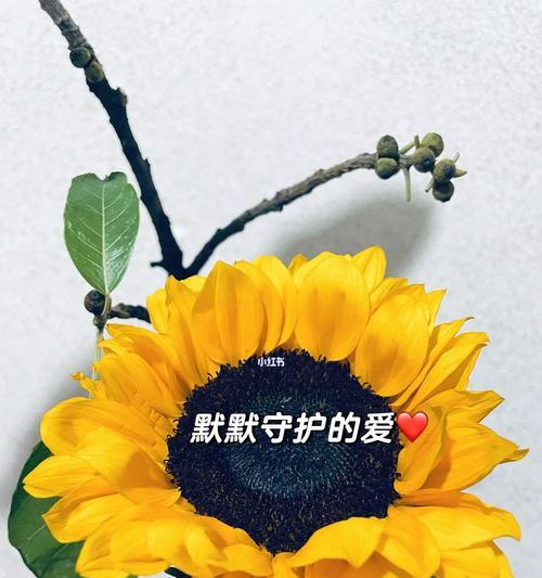 调侃别人时用的花语是什么？它传达了什么信息？