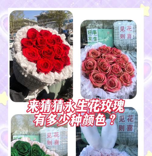 鲜花销售中常见的花语有哪些？