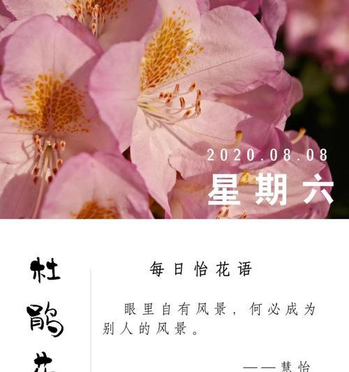 杜鹃花的花语是什么？世界杜鹃花语有何特别之处？