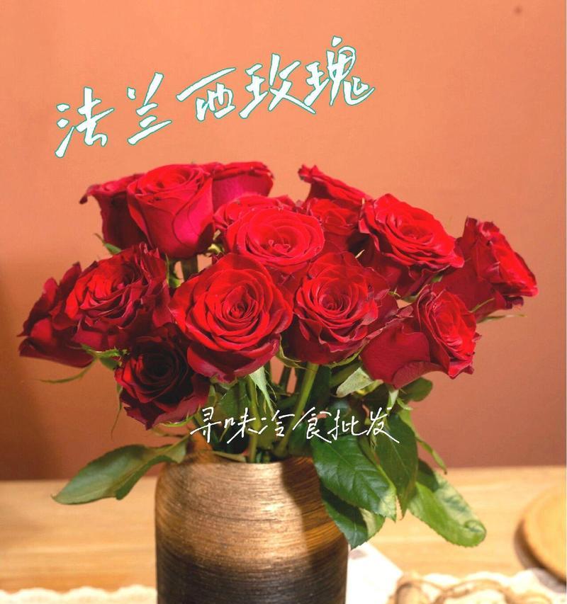 红色毛线玫瑰花的寓意是什么？它通常用来表达什么？