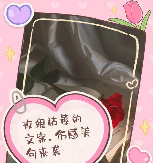 玫瑰花枯萎代表什么？如何预防和处理？