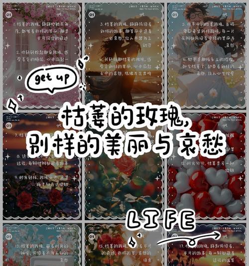 玫瑰花枯萎代表什么？如何预防和处理？