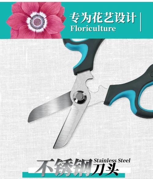 剪玫瑰花应该用什么剪刀？剪枝的正确方法是什么？