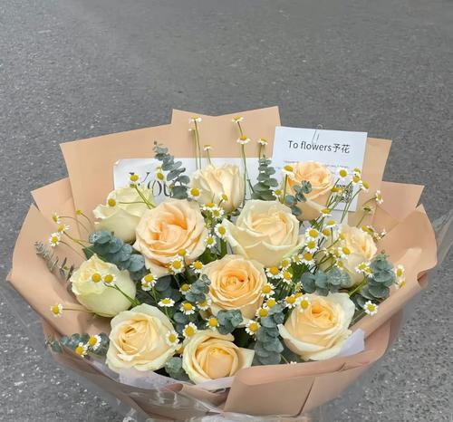 香槟玫瑰3朵代表什么？花语寓意有何不同？