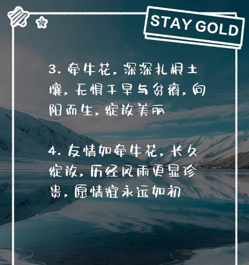 喇叭花的花语通常表达什么？