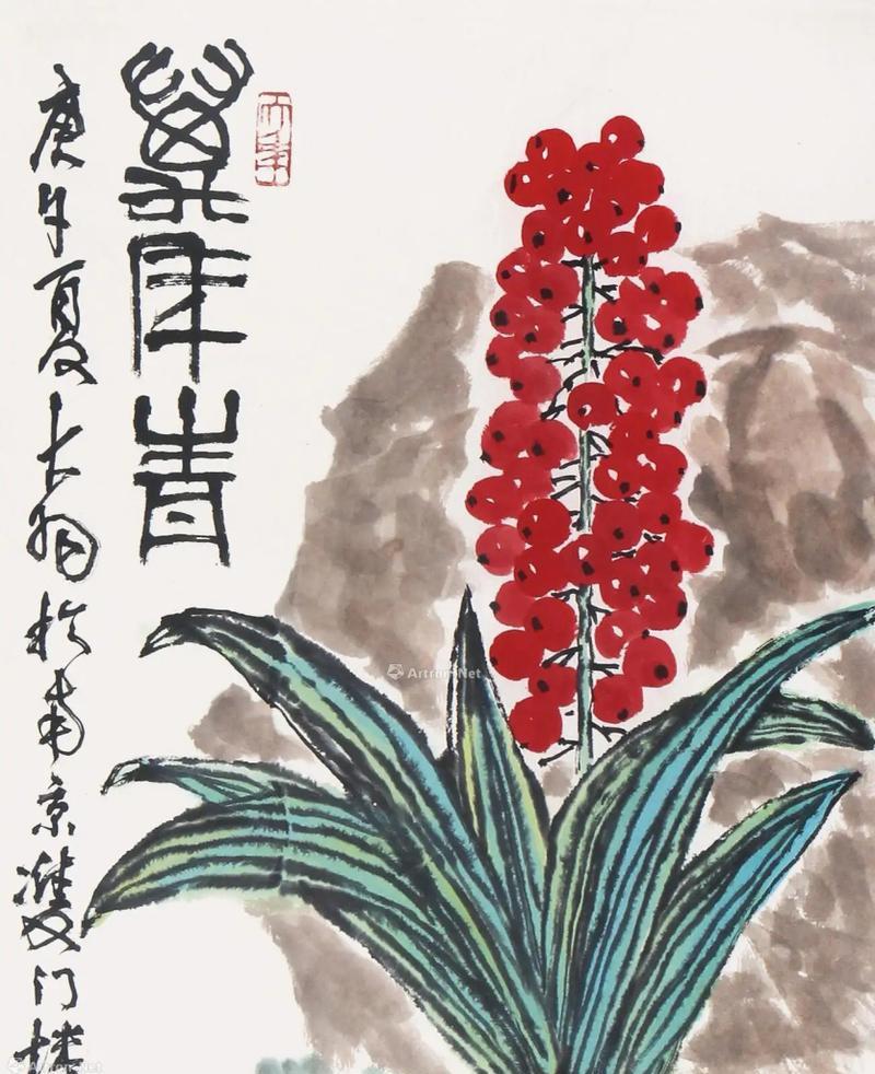 万年青的花语有何含义？它象征着什么？